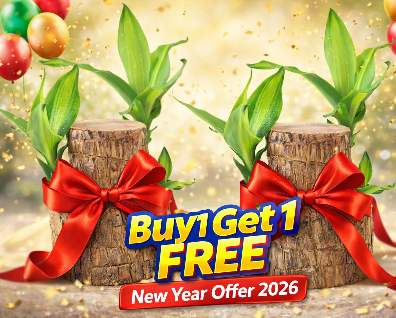 Brazilian Lucky Wood, Mini Home Plant Decorations (Pack of 2)